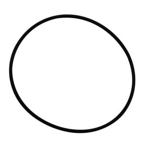 Wehrli Custom Fabrication - Wehrli Custom Fabrication O-Ring S400 Compressor Outlet - WCF203-21