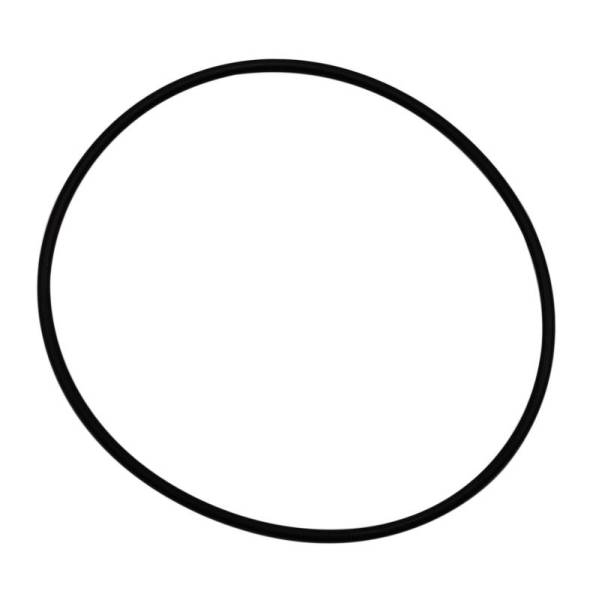 Wehrli Custom Fabrication - Wehrli Custom Fabrication O-Ring S400 Compressor Outlet - WCF203-21