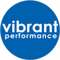 Vibrant Performance - Vibrant Performance 304 Stainless Steel T-Bolt Clamp Clamp Range: 3.28 in.-3.60 in. Pack Of 2 0.75 in./19mm Band Width Includes Bolt And Lock Nut - 2795