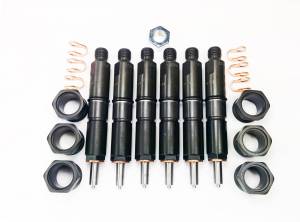 Dynomite Diesel - Dynomite Diesel Dodge 94-98 5.9L 12 Valve CUSTOM Injector Set - DDP.9498COMP - Image 1