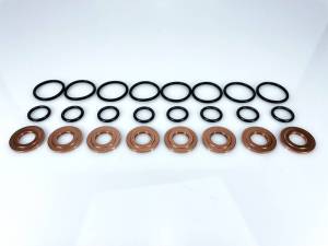 Exergy 01-04 Chevrolet Duramax LB7 Seal Kit (O-Ring & Copper Gasket) (Set of 8) - E05 10101